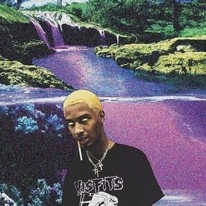 Meet your Posher, La'dainian